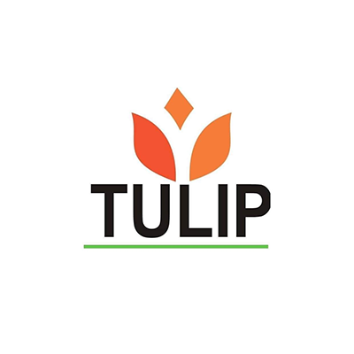Tulip