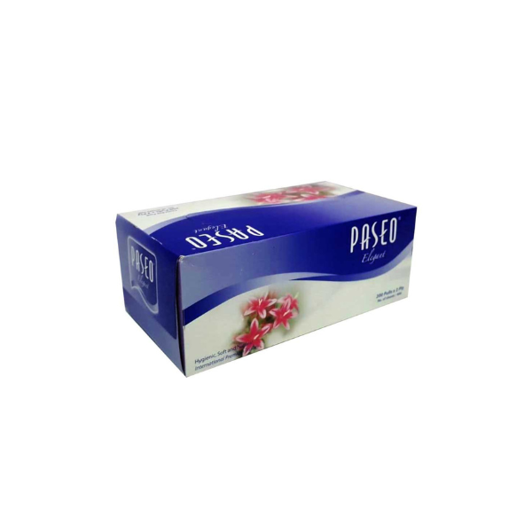Paseo Elegant Tissue Box